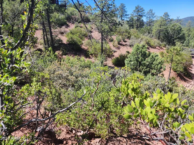 $145,000 | 55 Foxtail Cir Pine, Unit 55, Pine, AZ 85544