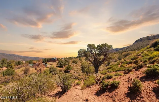 an aerial view of houses covered in trees