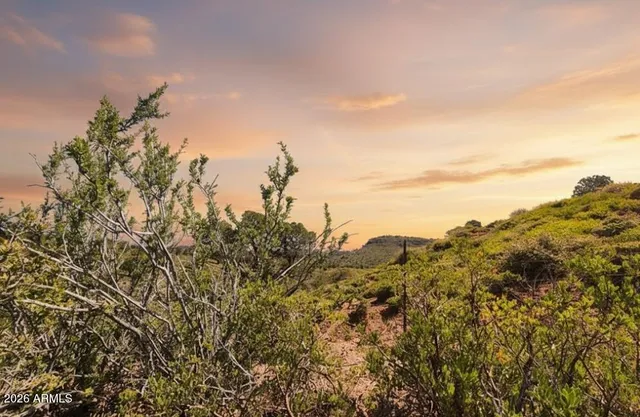 a view of a building