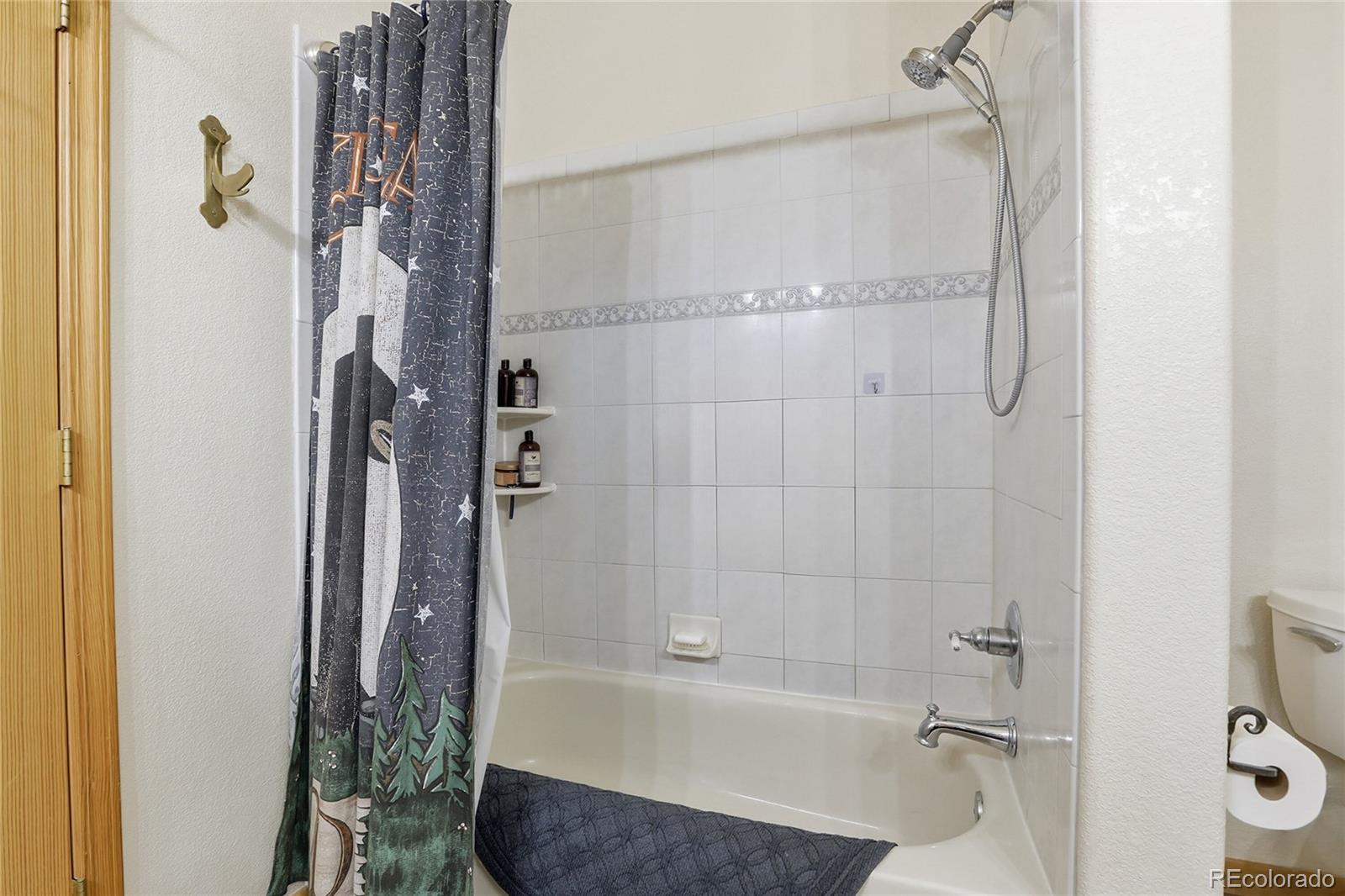 819 Hi Meadow Drive Bailey, CO 80421 - Photo 21 of 44