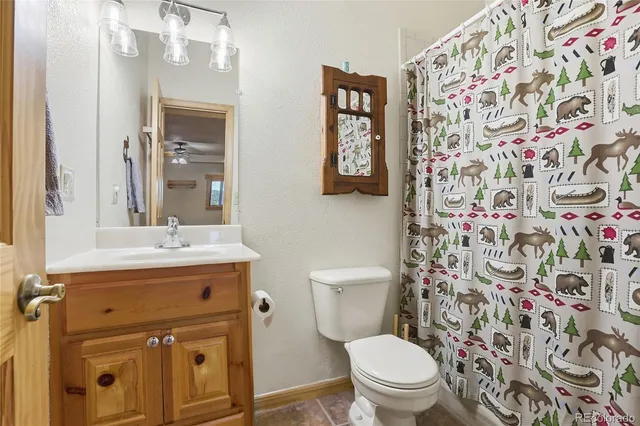 $975,000 | 819 Hi Meadow Drive, Bailey, CO 80421