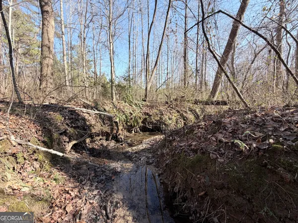 $65,000 | 0 New Hope Road, Toccoa, GA 30577