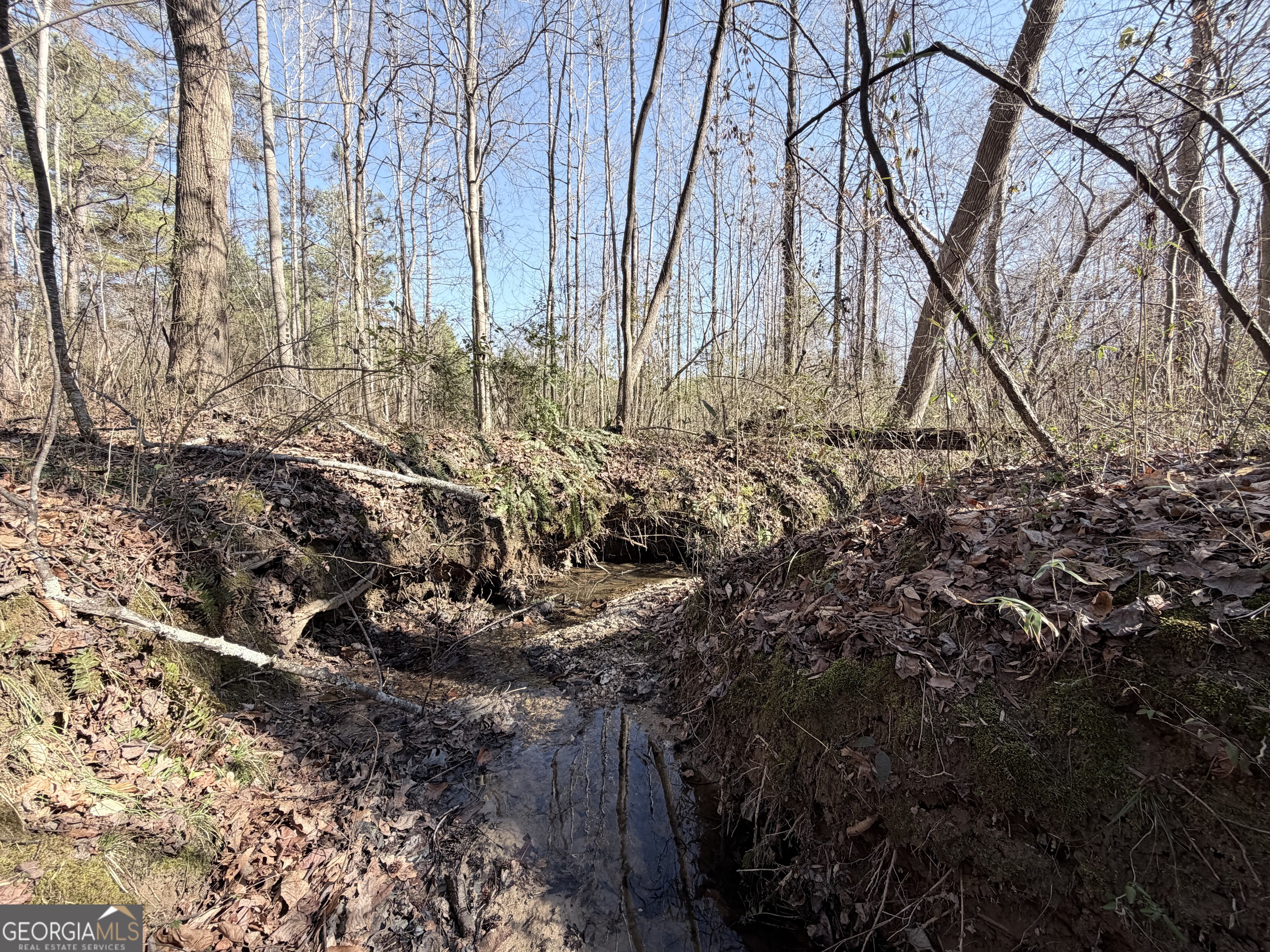 0 New Hope Road Toccoa, GA 30577 - Photo 11 of 19