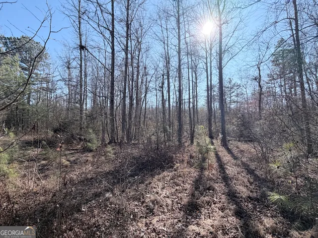 $72,500 | 0 New Hope Road, Toccoa, GA 30577