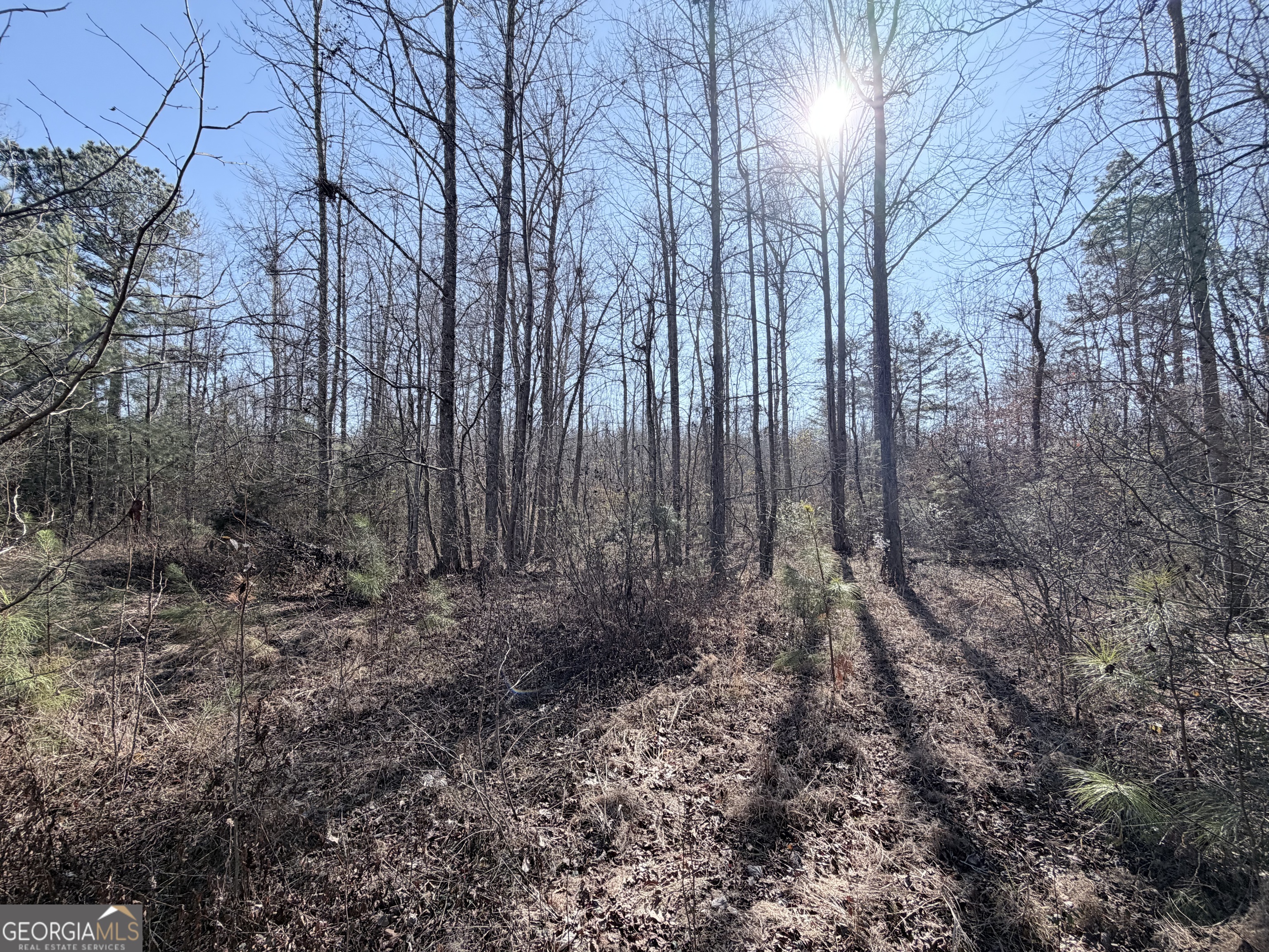 0 New Hope Road Toccoa, GA 30577 - Photo 12 of 19