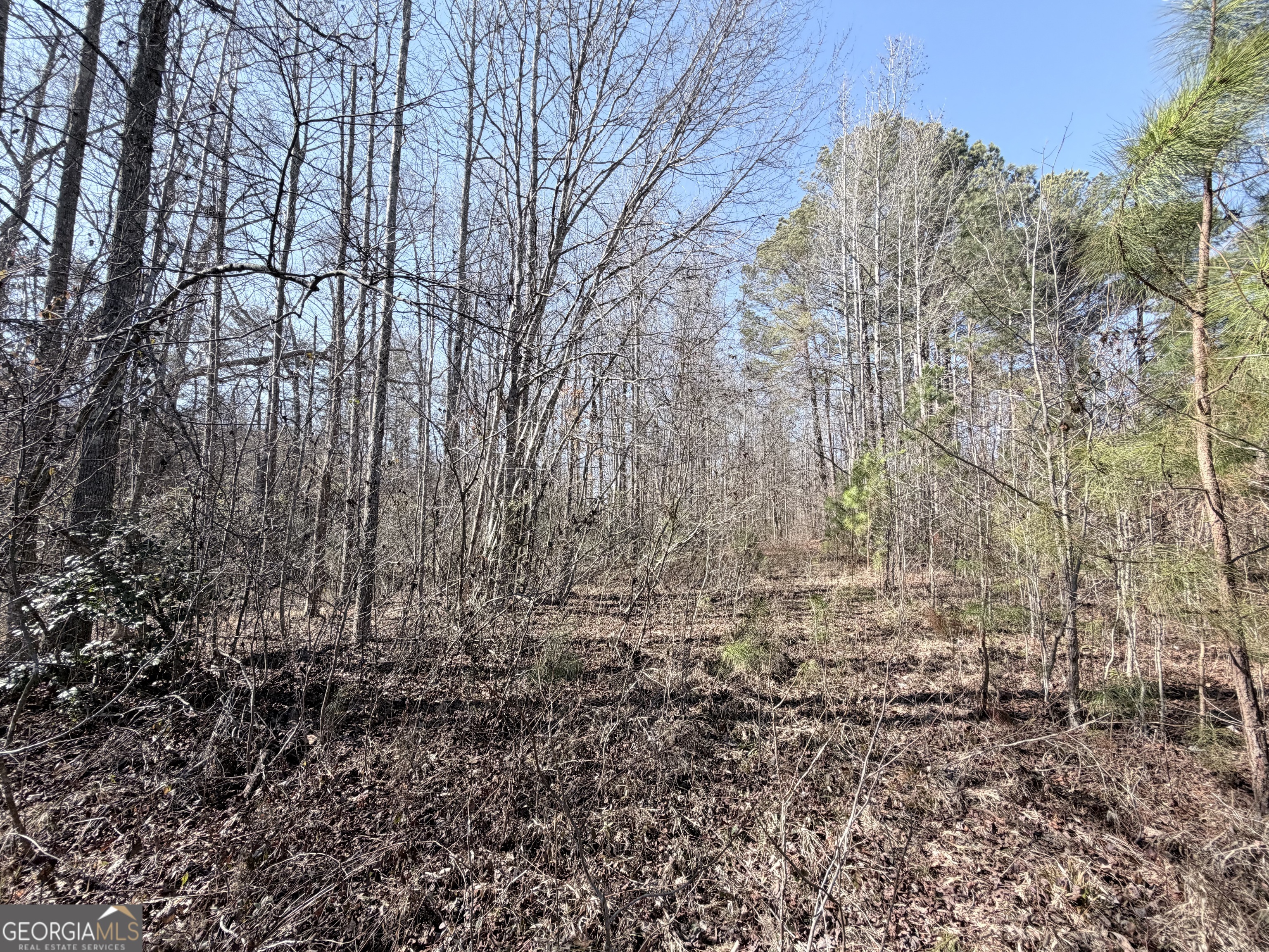 0 New Hope Road Toccoa, GA 30577 - Photo 13 of 19