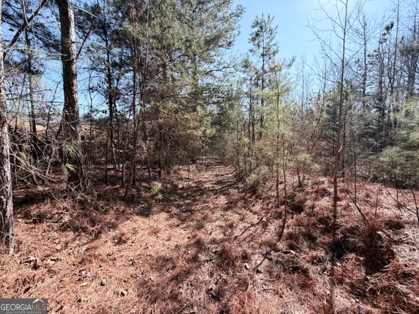 $65,000 | 0 New Hope Road, Toccoa, GA 30577