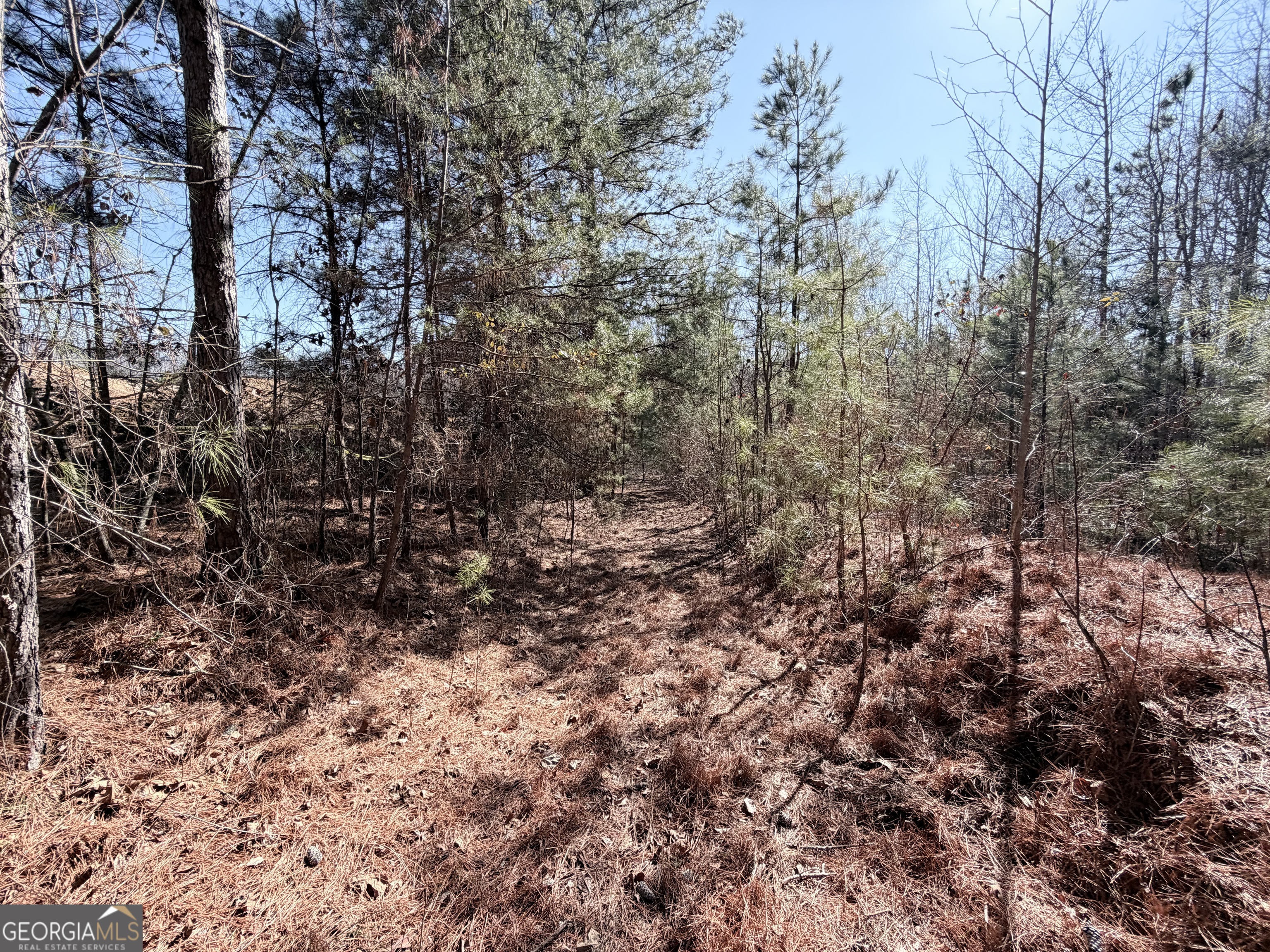 0 New Hope Road Toccoa, GA 30577 - Photo 14 of 19