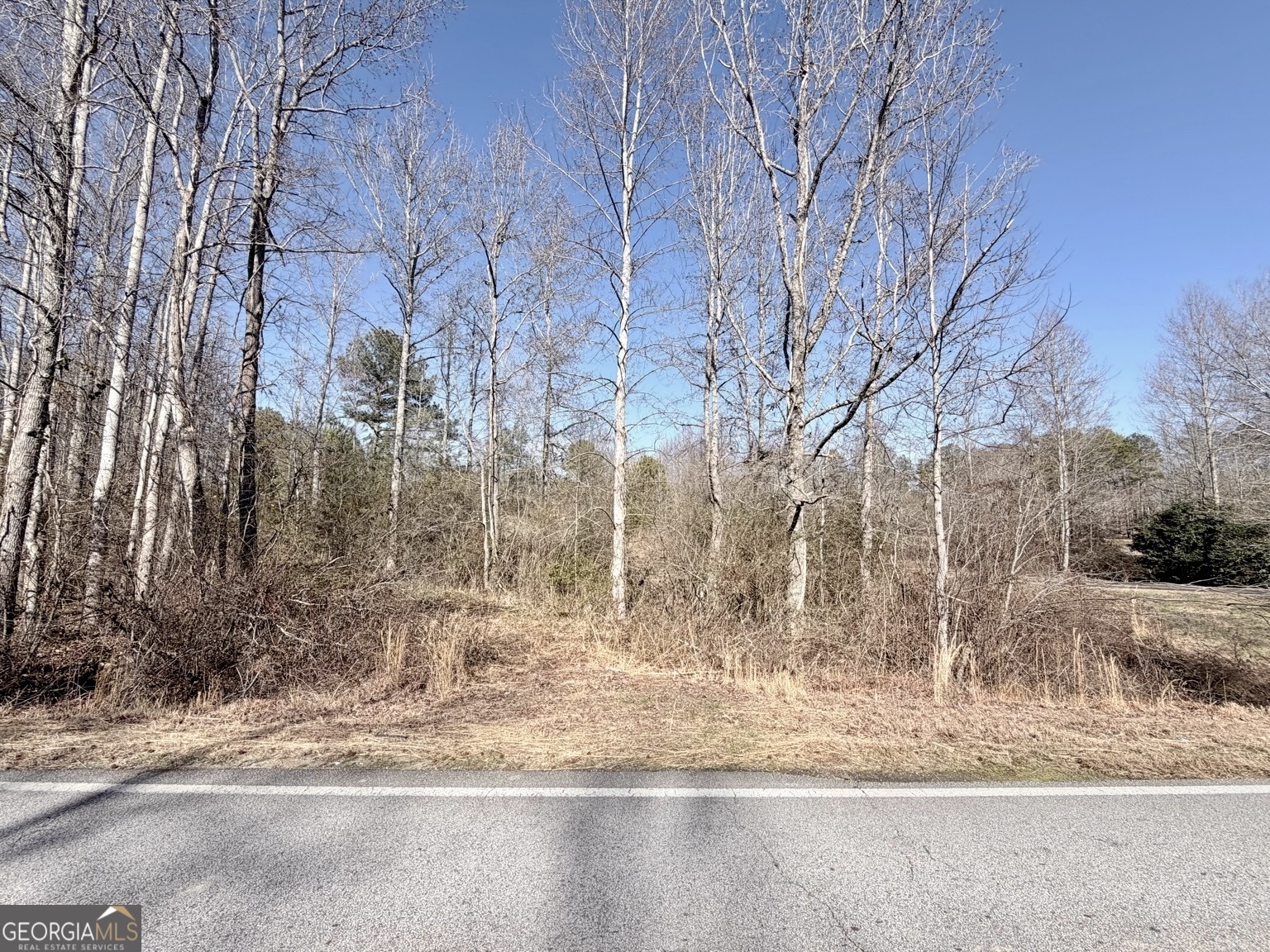 0 New Hope Road Toccoa, GA 30577 - Photo 2 of 19