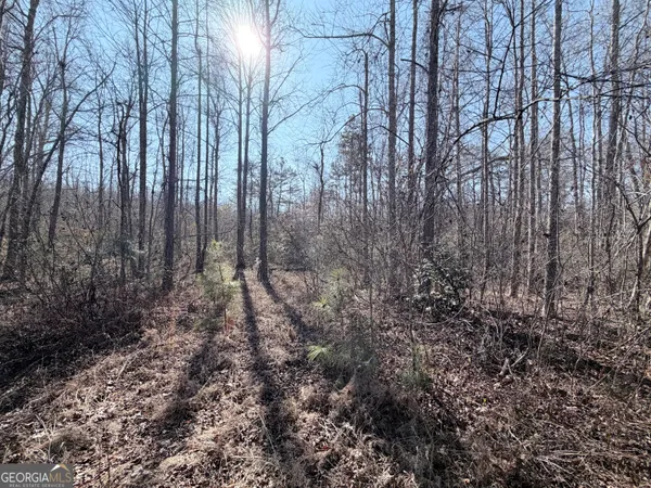 $65,000 | 0 New Hope Road, Toccoa, GA 30577