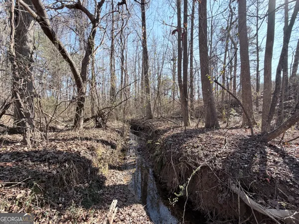 $65,000 | 0 New Hope Road, Toccoa, GA 30577