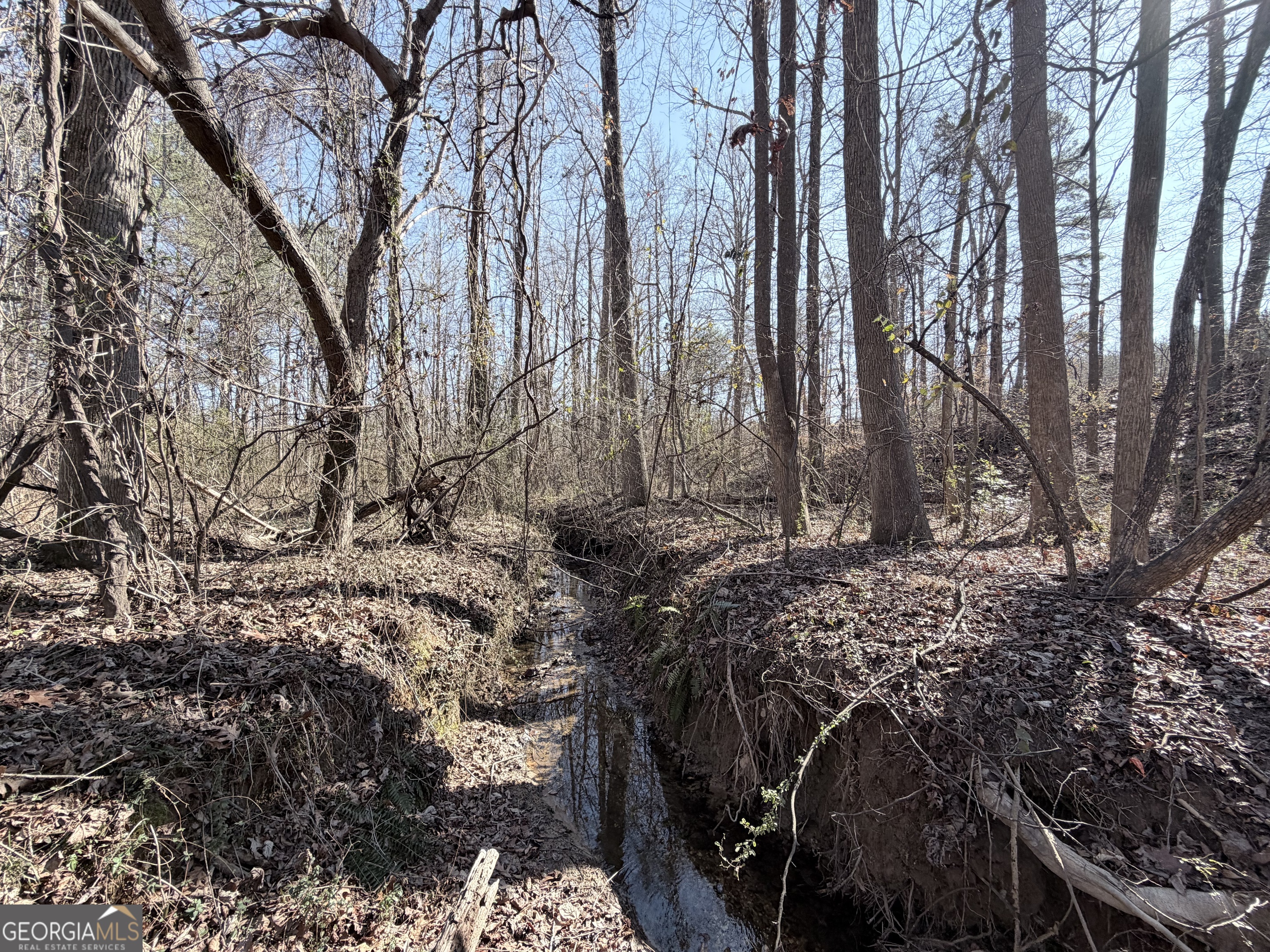 0 New Hope Road Toccoa, GA 30577 - Photo 5 of 19
