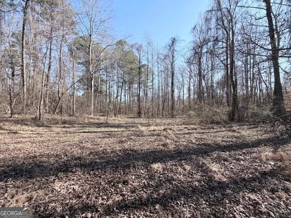 $65,000 | 0 New Hope Road, Toccoa, GA 30577