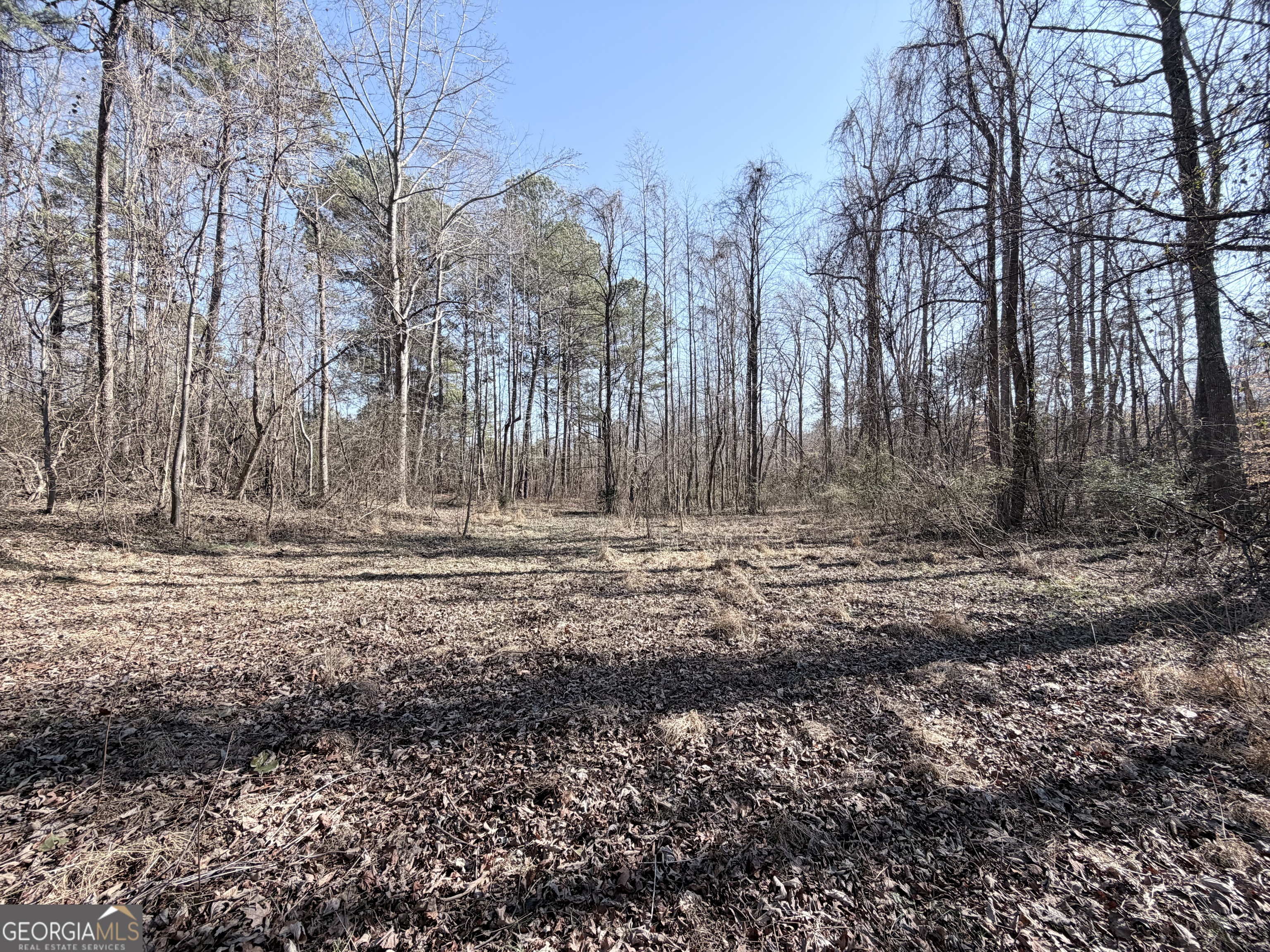 0 New Hope Road Toccoa, GA 30577 - Photo 6 of 19