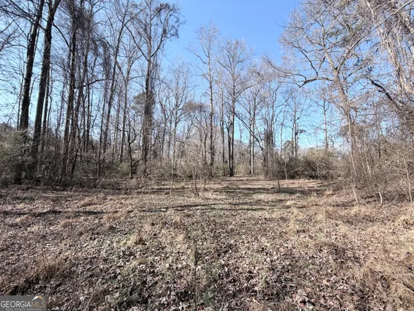 $65,000 | 0 New Hope Road, Toccoa, GA 30577