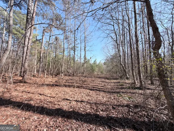 $65,000 | 0 New Hope Road, Toccoa, GA 30577