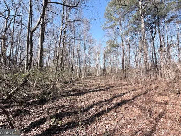 $65,000 | 0 New Hope Road, Toccoa, GA 30577