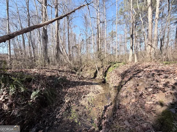 $65,000 | 0 New Hope Road, Toccoa, GA 30577