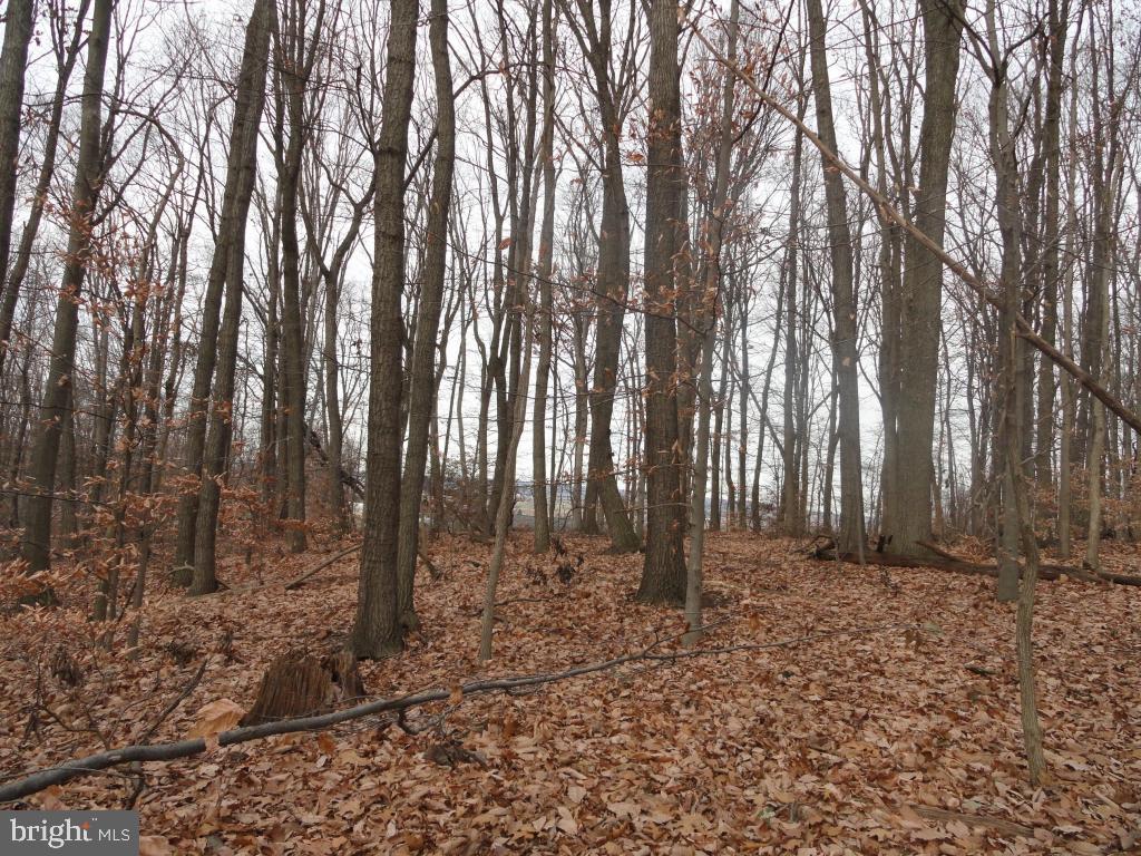 0 Smyrna Road Kinzers, PA 17535 - Photo 1 of 4