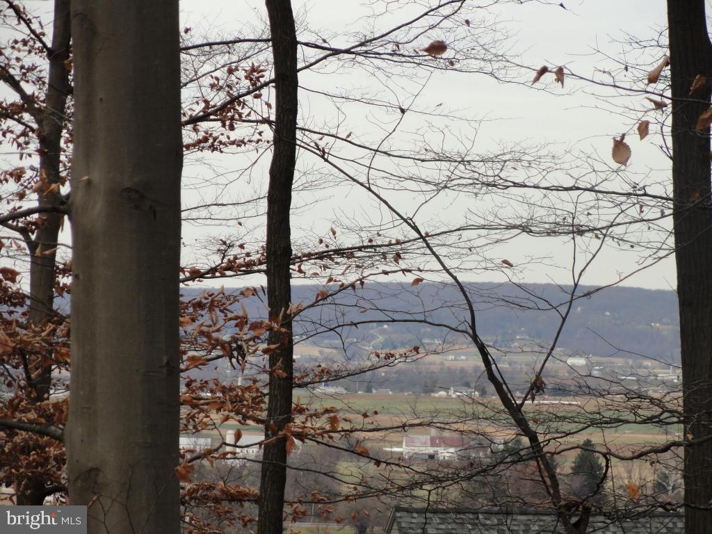 0 Smyrna Road Kinzers, PA 17535 - Photo 2 of 4