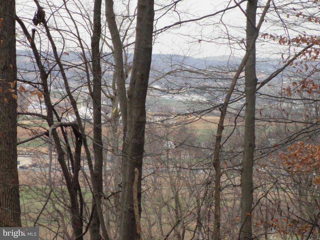 0 Smyrna Road Kinzers, PA 17535 - Photo 3 of 4