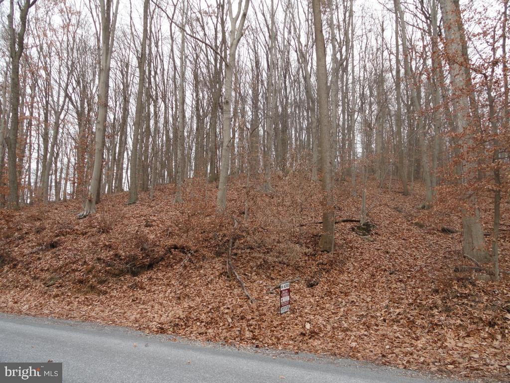 0 Smyrna Road Kinzers, PA 17535 - Photo 4 of 4