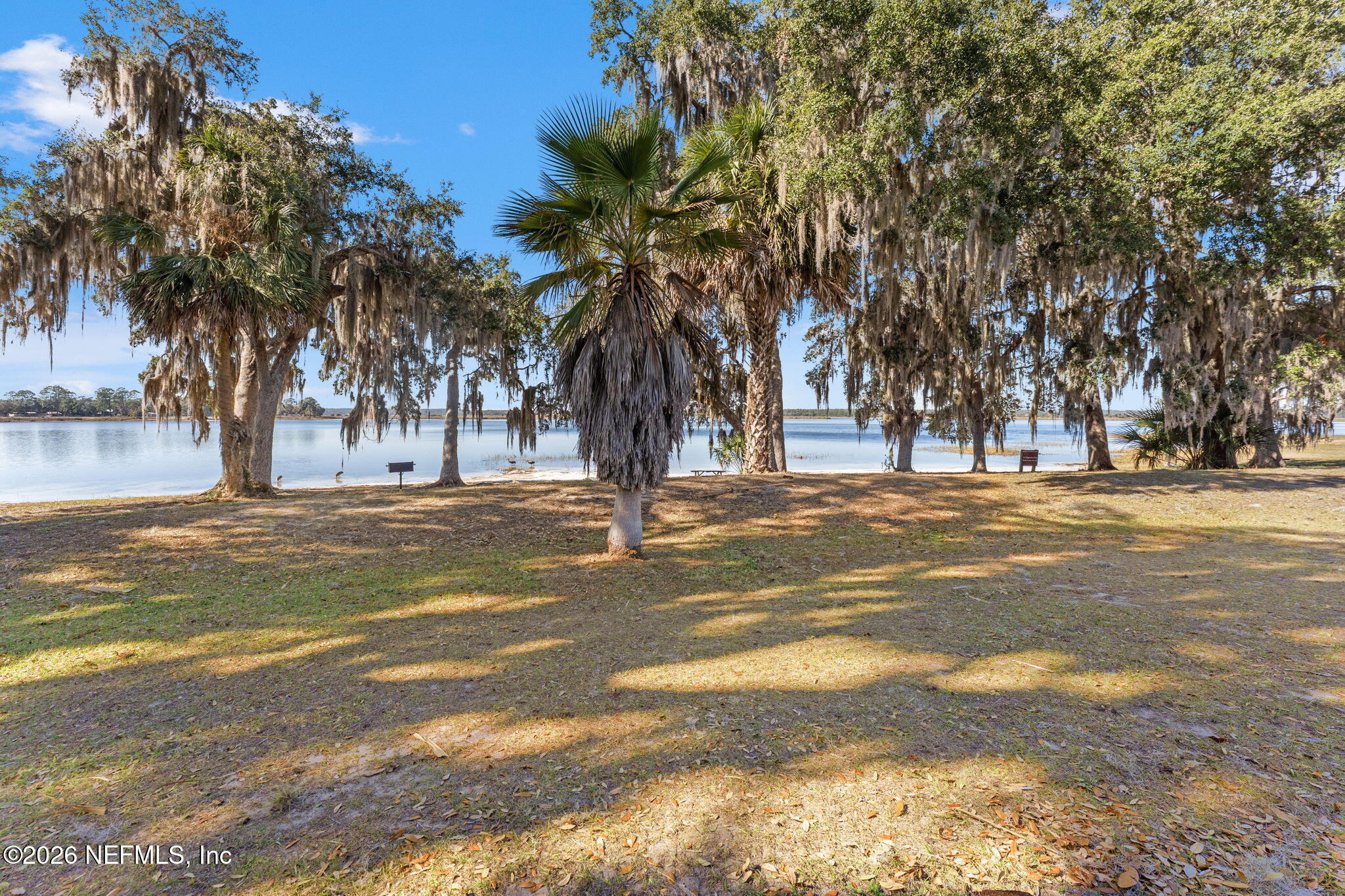 14195 Northeast 252nd Ct Road, Unit 109 Salt Springs, FL 32134 - Photo 25 of 29 trees w/ picnic tables