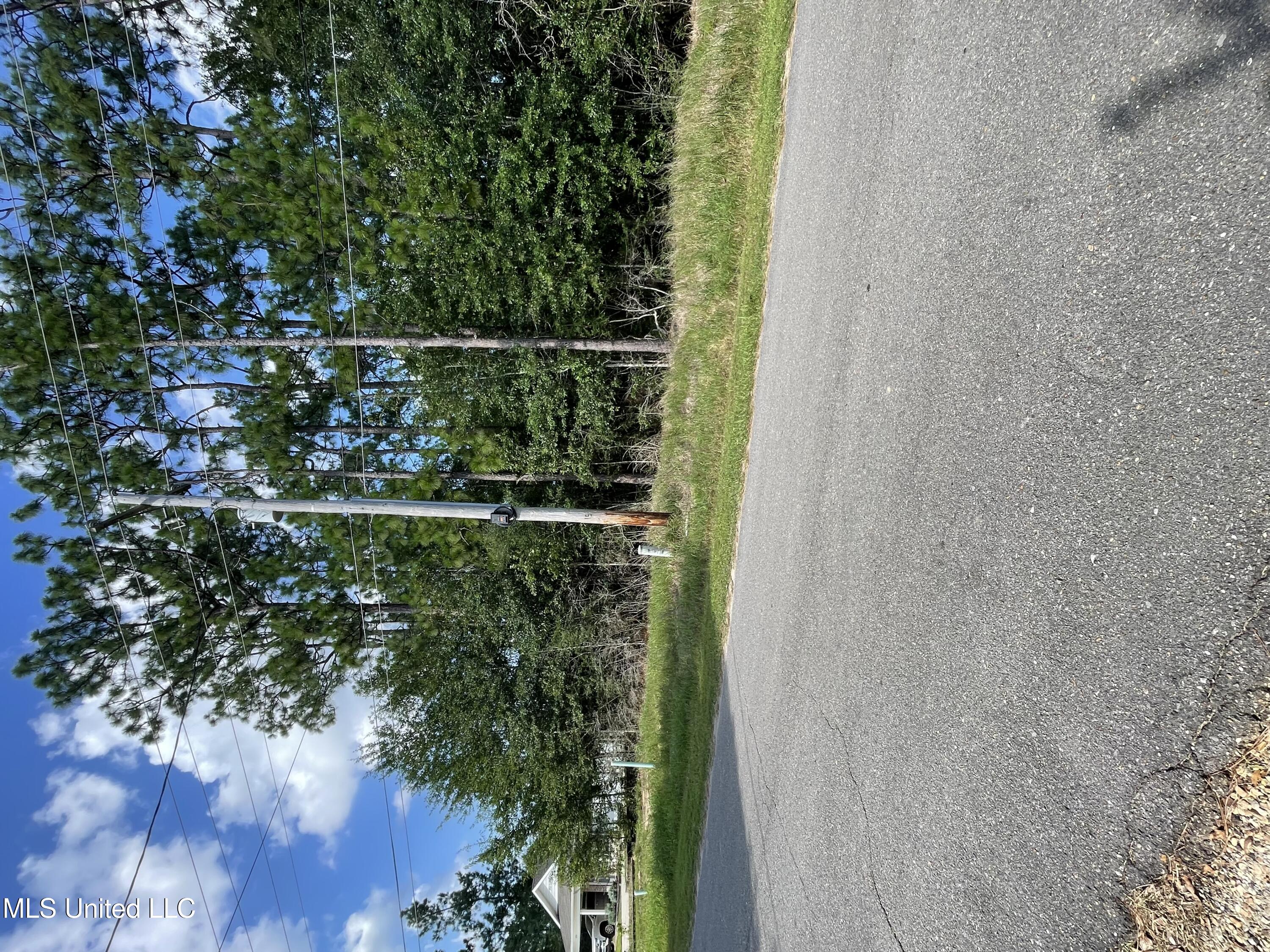 Riverline Drive E., Saucier, MS 39574