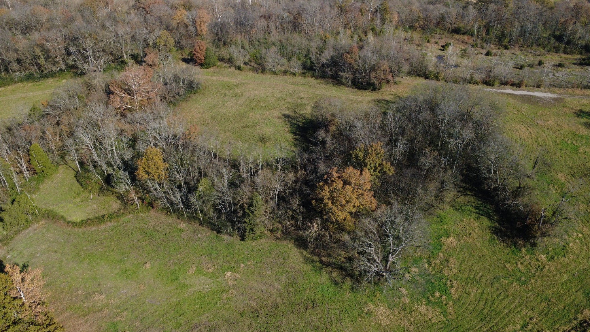 0 Industrial Park Road Columbia, TN 38401 - Photo 11 of 13 a view of a yard