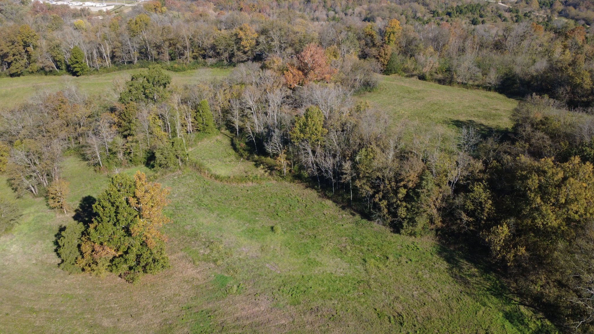 0 Industrial Park Road Columbia, TN 38401 - Photo 13 of 13 a view of a lake with trees