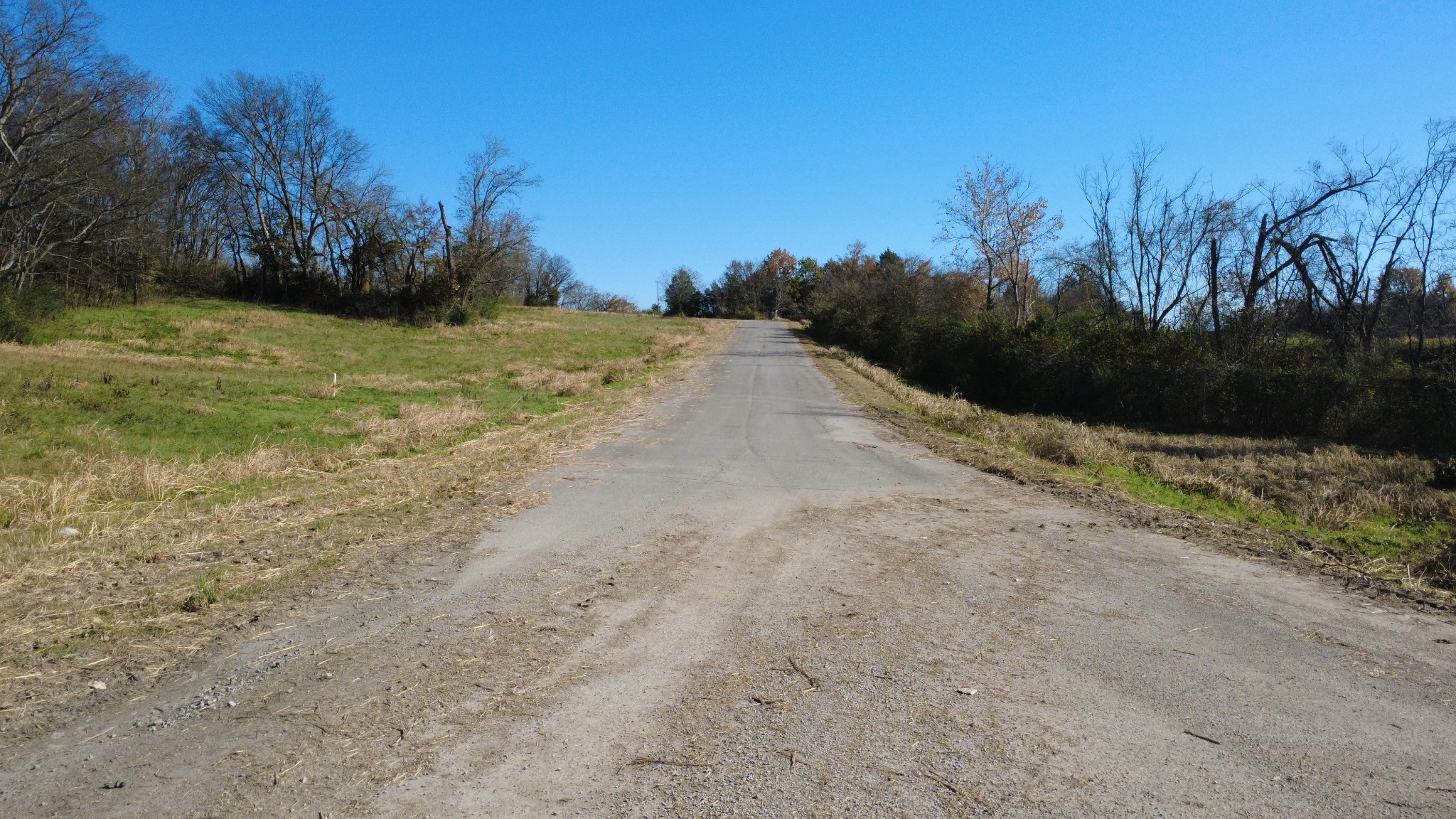 0 Industrial Park Road Columbia, TN 38401 - Photo 9 of 13 a view of a field with trees