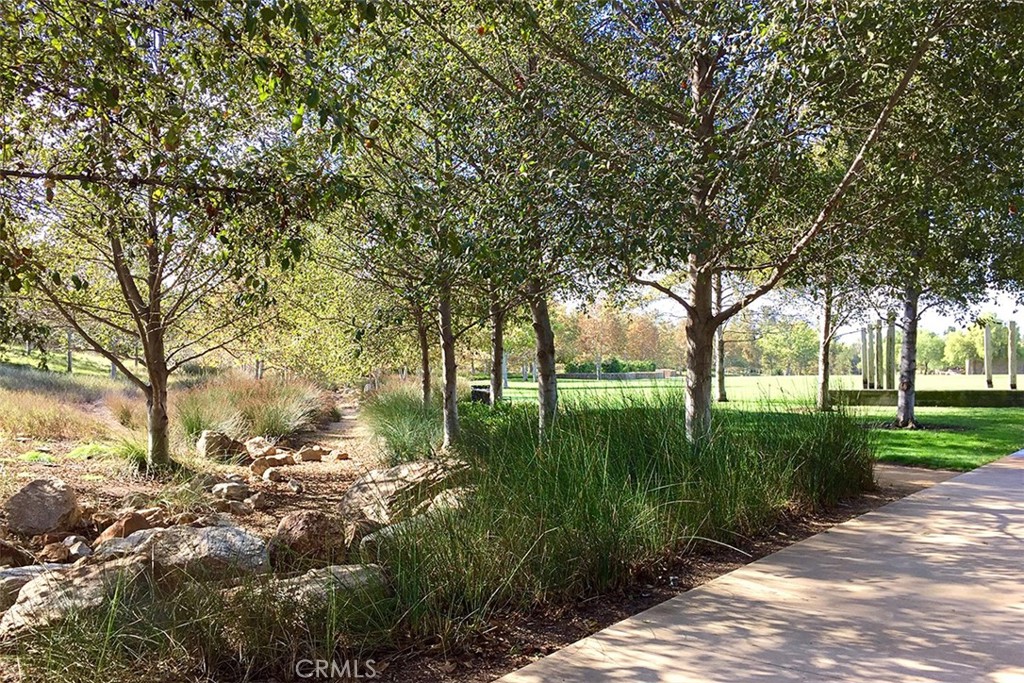 8 Ingleside Irvine, CA 92620 - Photo 55 of 74 a view of backyard with green space