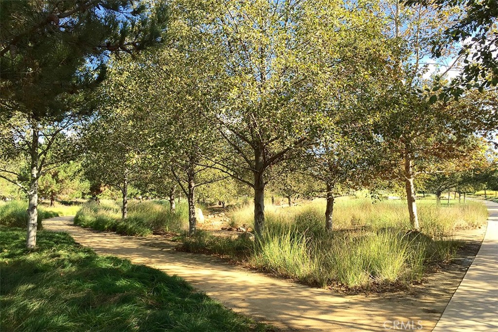 8 Ingleside Irvine, CA 92620 - Photo 57 of 74 a view of a yard with a trees