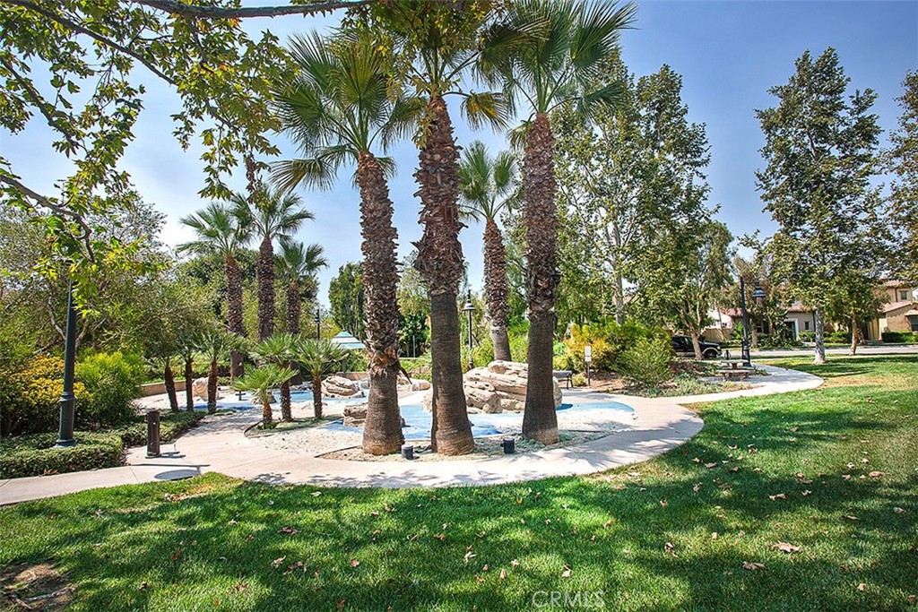 8 Ingleside Irvine, CA 92620 - Photo 65 of 74 a view of yard with tree