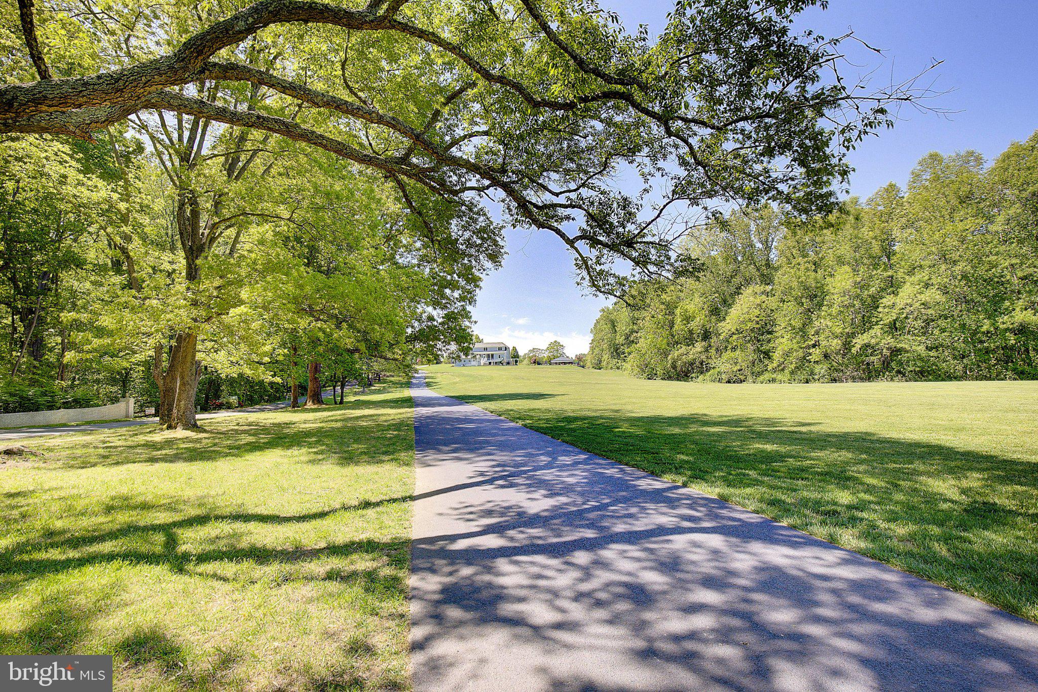 2393 Garrity Road St. Leonard, MD 20685 - Photo 7 of 14 Serene path through lush greenery.