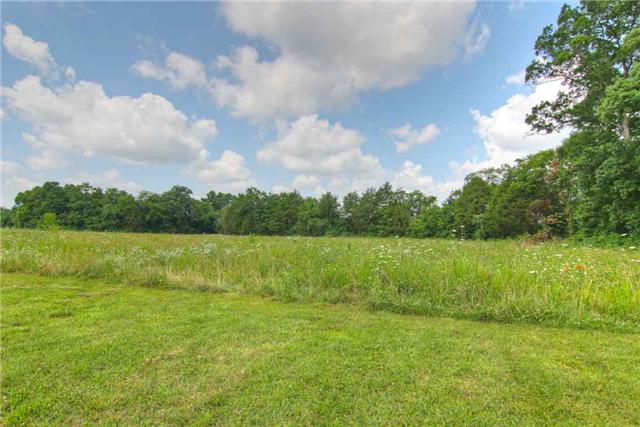 2904 West Trimble Road Milton, TN 37118 - Photo 2 of 11 Acreage is lush and beautiful..... bring the horses, goats, and more. There is one area that has been fenced for a pasture.