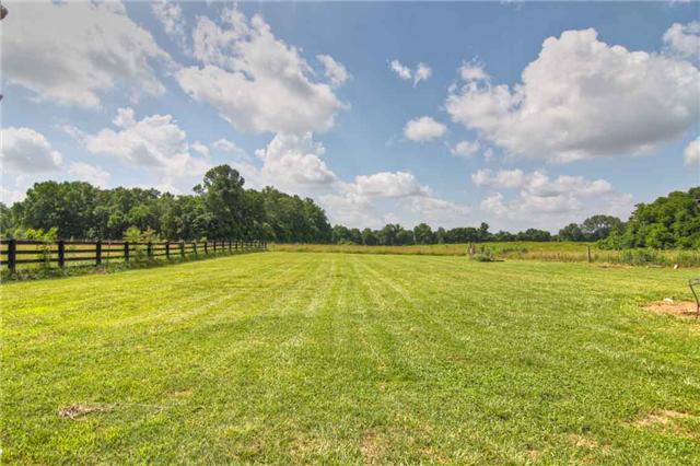 2904 West Trimble Road Milton, TN 37118 - Photo 3 of 11 Beautiful land, plenty of green grazing and lots of peace to be found here. Survey was conducted in 2009.