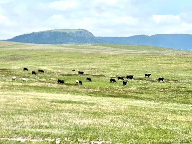 11977 Haskell Creek Road Larkspur, CO 80118 - Photo 17 of 29