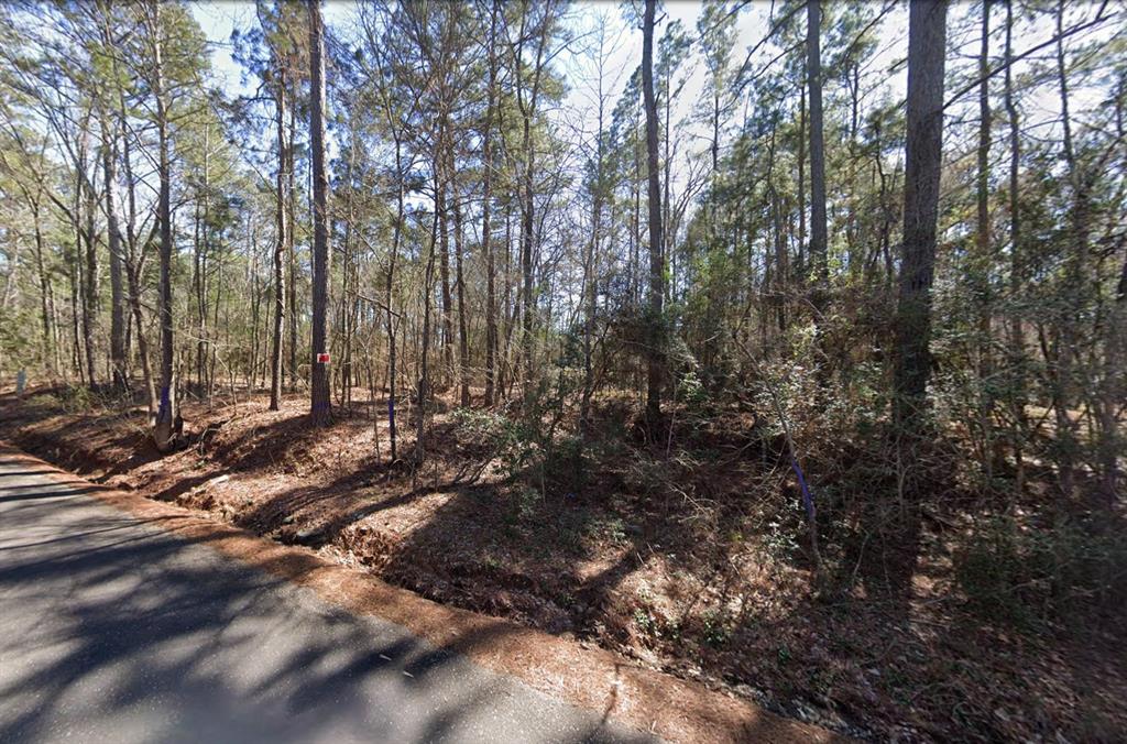 225 Paul Dixon Road Huntsville, TX 77320 - Photo 2 of 5 Gallery Image 2