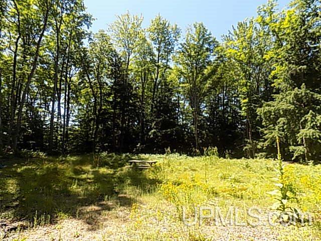 Tbd Maple Grove Road Munising, MI 49862 - Photo 3 of 5