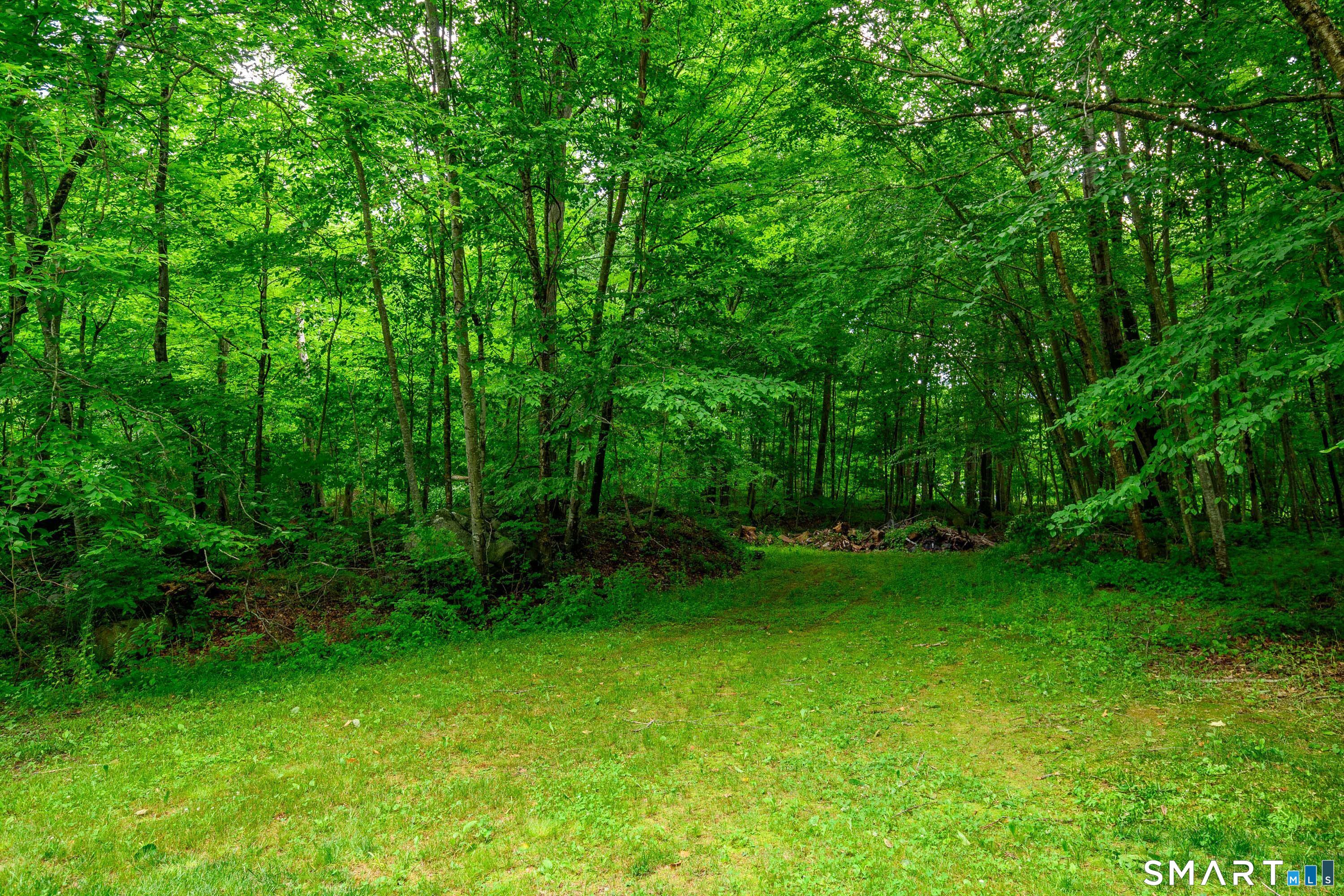 11 Hammond Road New Fairfield, CT 06812 - Photo 36 of 39