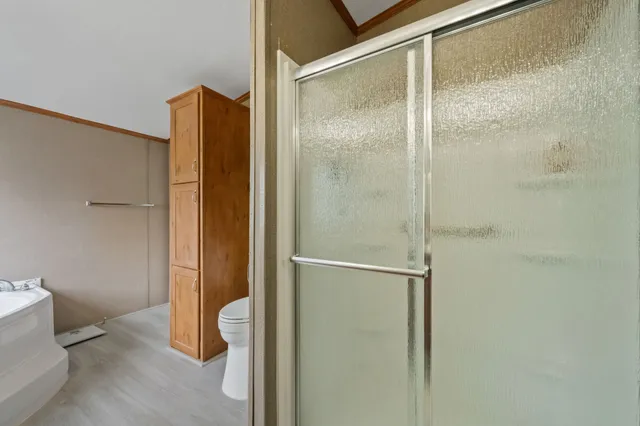 a bathroom with a shower and a toilet