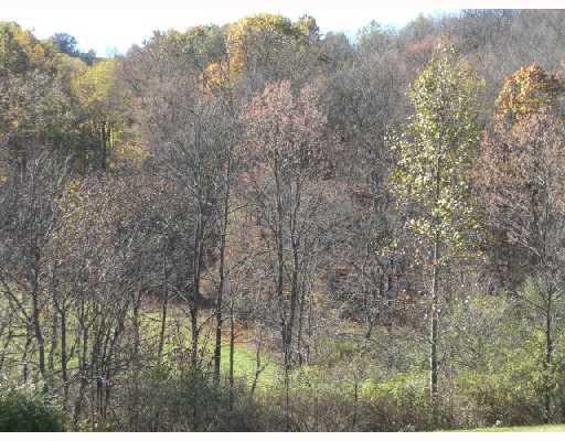 1928 Beham Ridge Road Claysville, PA 15323 - Photo 9 of 10 View.