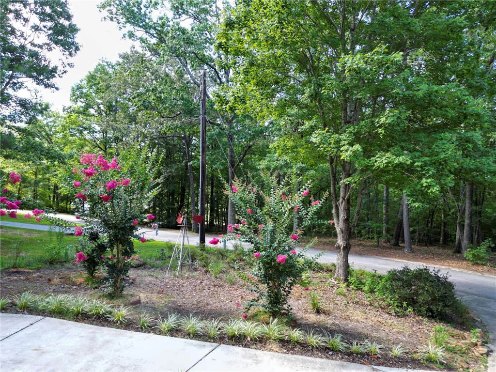 101 Hazelwood Way Walhalla, SC 29691 - Photo 6 of 31