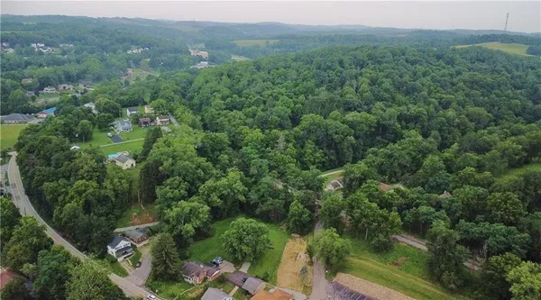 an aerial view of forest