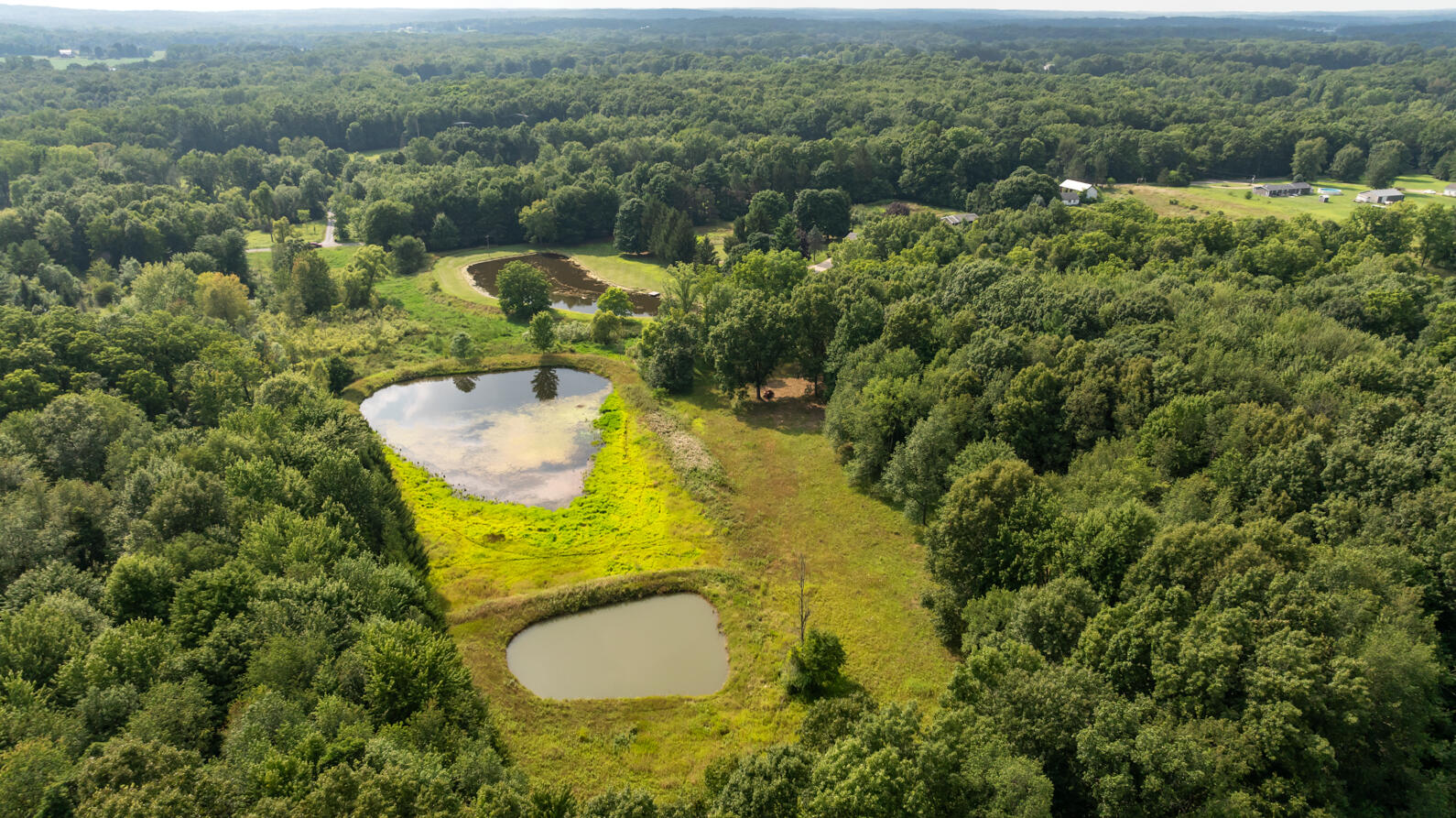 4475 North Sandstone Road Parma, MI 49269 - Photo 43 of 76 4475 N. Sandstone Rd Parma MI (Aerial) -