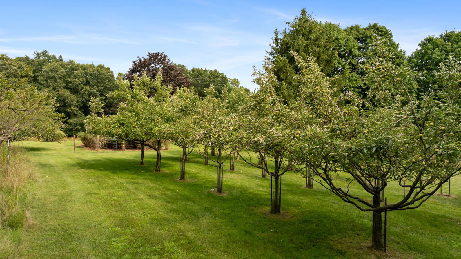 4475 North Sandstone Road Parma, MI 49269 - Photo 64 of 76 4475 N. Sandstone Rd Parma MI (Aerial) -