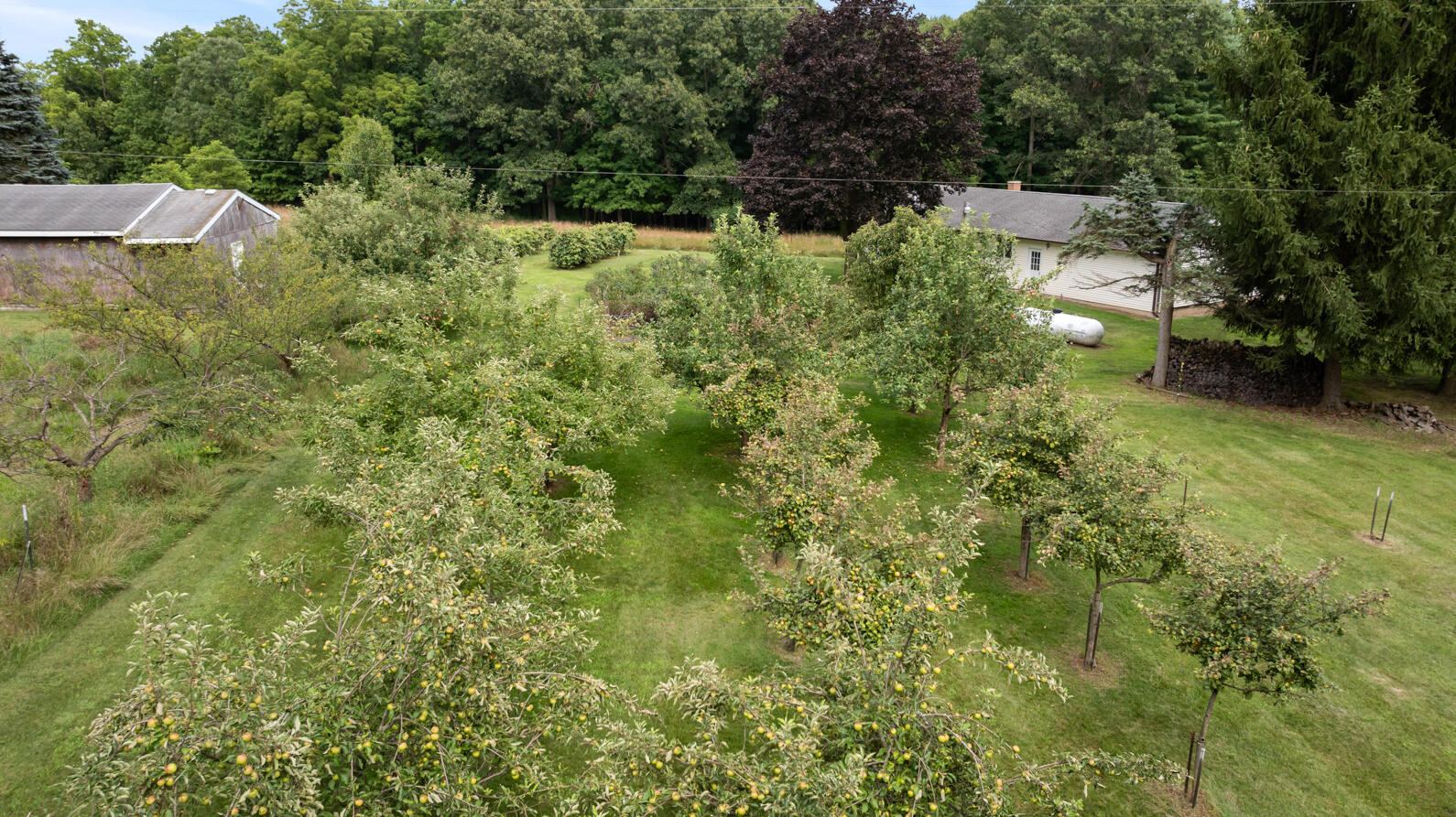4475 North Sandstone Road Parma, MI 49269 - Photo 66 of 76 4475 N. Sandstone Rd Parma MI (Aerial) -