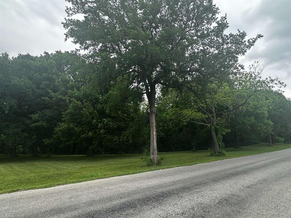 505 Paxton Road Gunter, TX 75058 - Photo 5 of 12 a view of a park