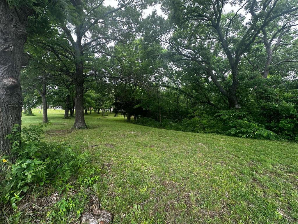505 Paxton Road Gunter, TX 75058 - Photo 6 of 12 a view of outdoor space with a garden